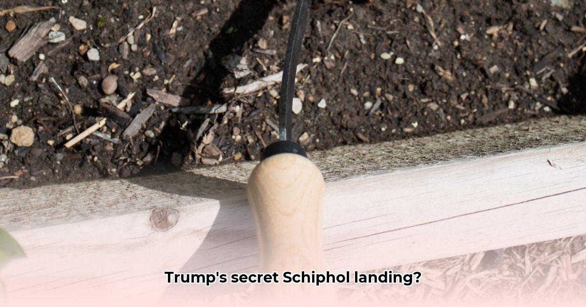 hoe-laat-land-trump